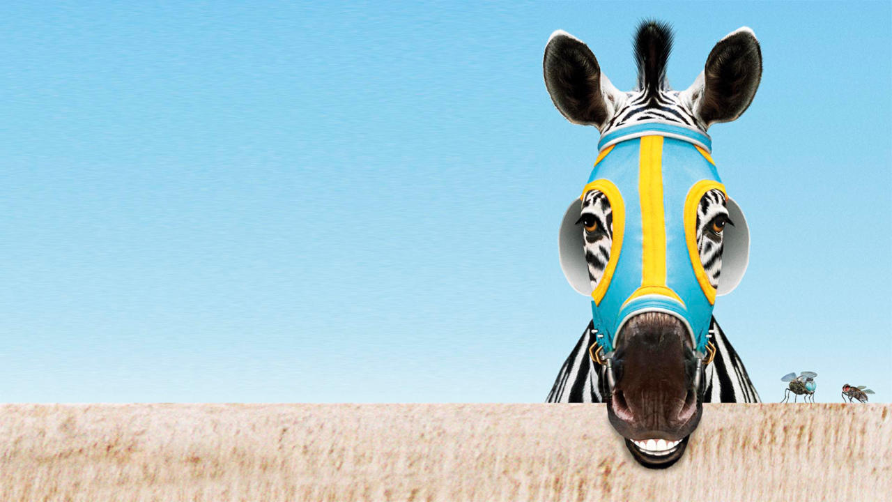 Racing Stripes