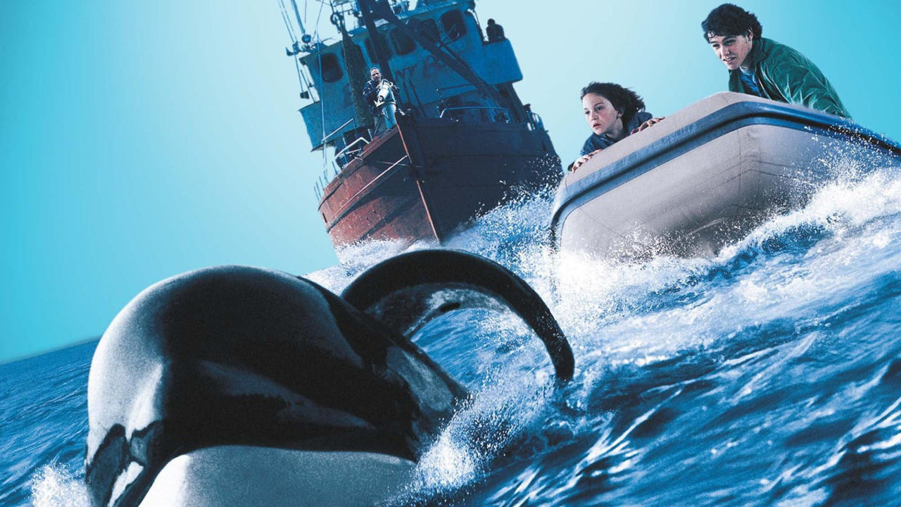 Free Willy 3: The Rescue
